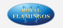 Royal Flamingos